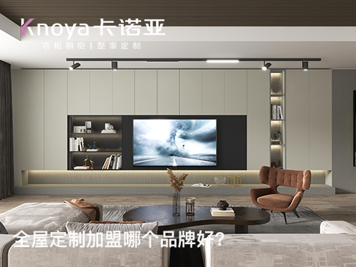 鹤岗全屋定制加盟哪个品牌好?鹤岗全屋定制招商加盟政策怎样?