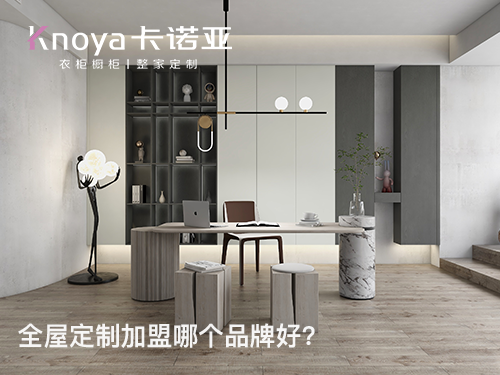 瑞丽全屋定制加盟投资费用多少？